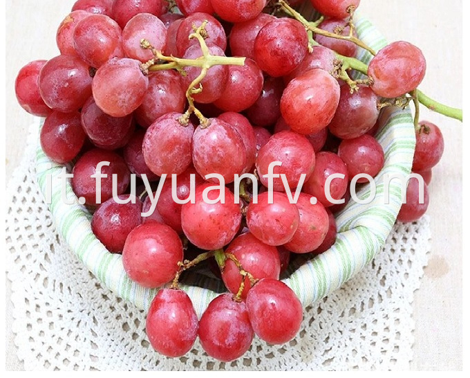 fresh red grape